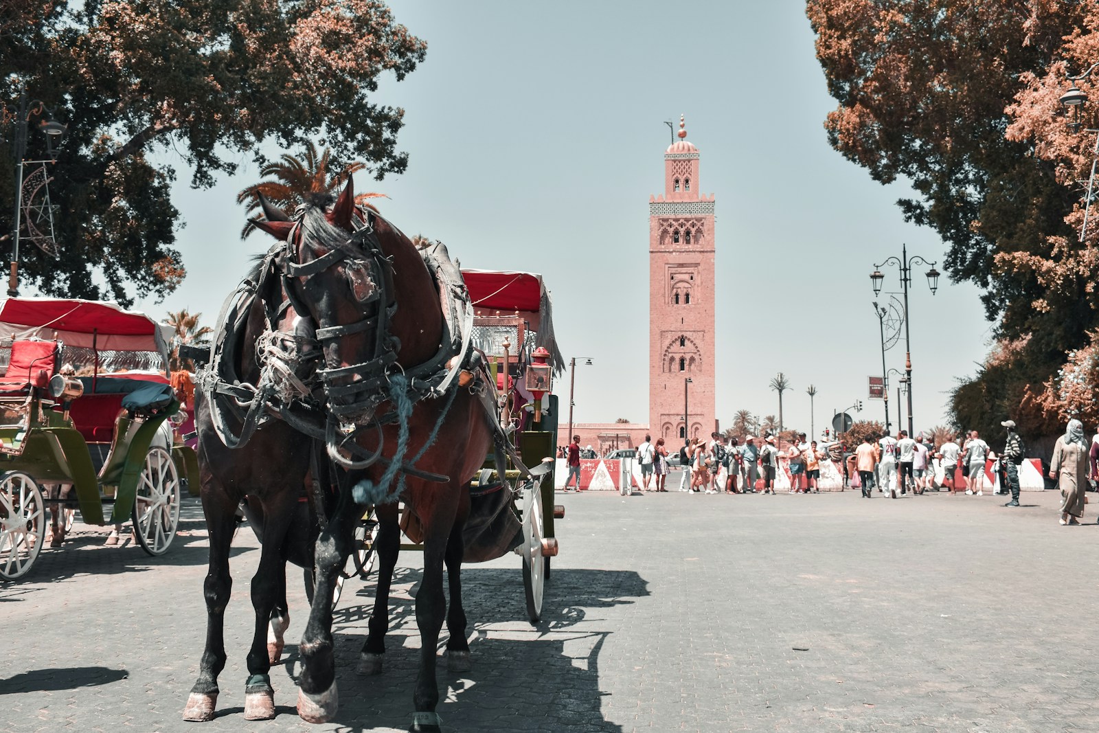 Coração da medina de Marrakech, fim de tarde
